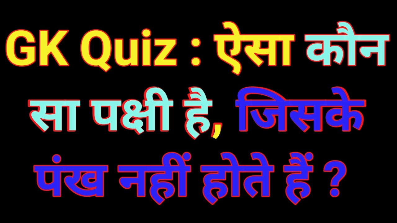 Intelligent Gk Questions ऐसा कौन सा पक्षी है जिसके पंख नहीं होते हैं Resultsinfo99com 9568