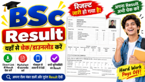BSc Result 2026